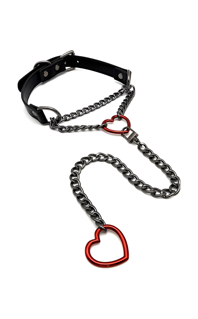 WILDCHOK - Swivel Clasp Leather Choker Collar