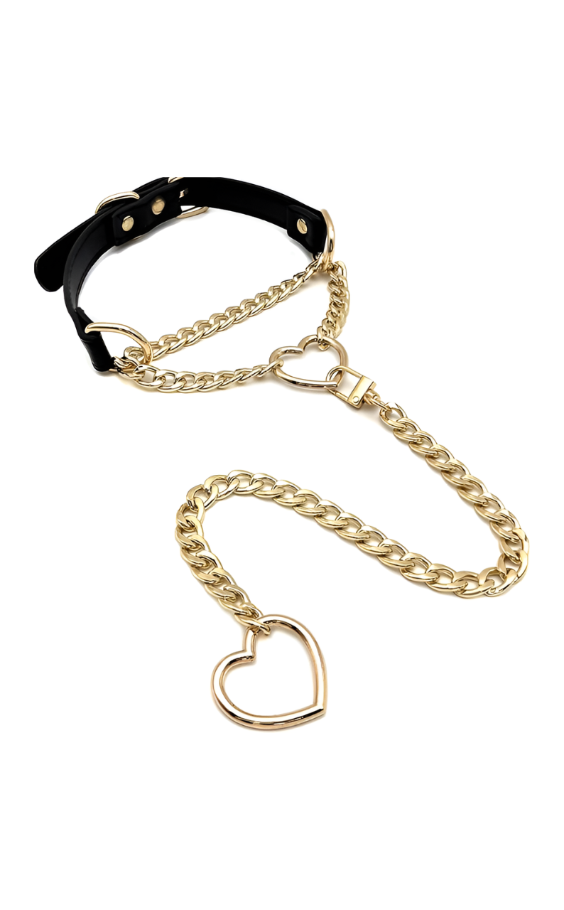 WILDCHOK - Swivel Clasp Leather Choker Collar
