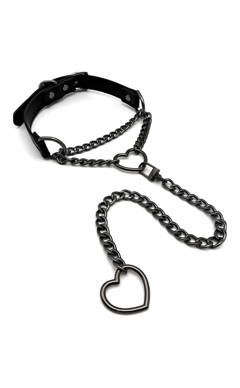 WILDCHOK - Swivel Clasp Leather Choker Collar