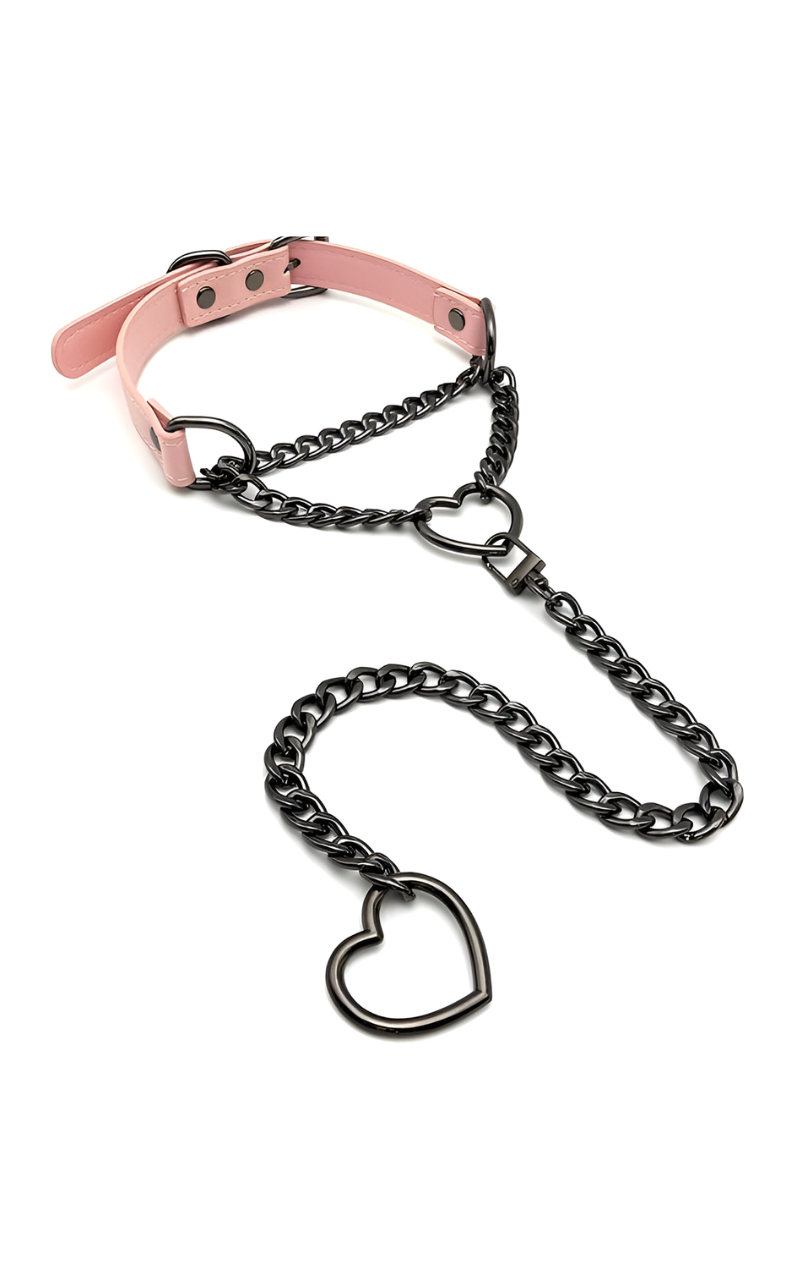 WILDCHOK - Swivel Clasp Leather Choker Collar