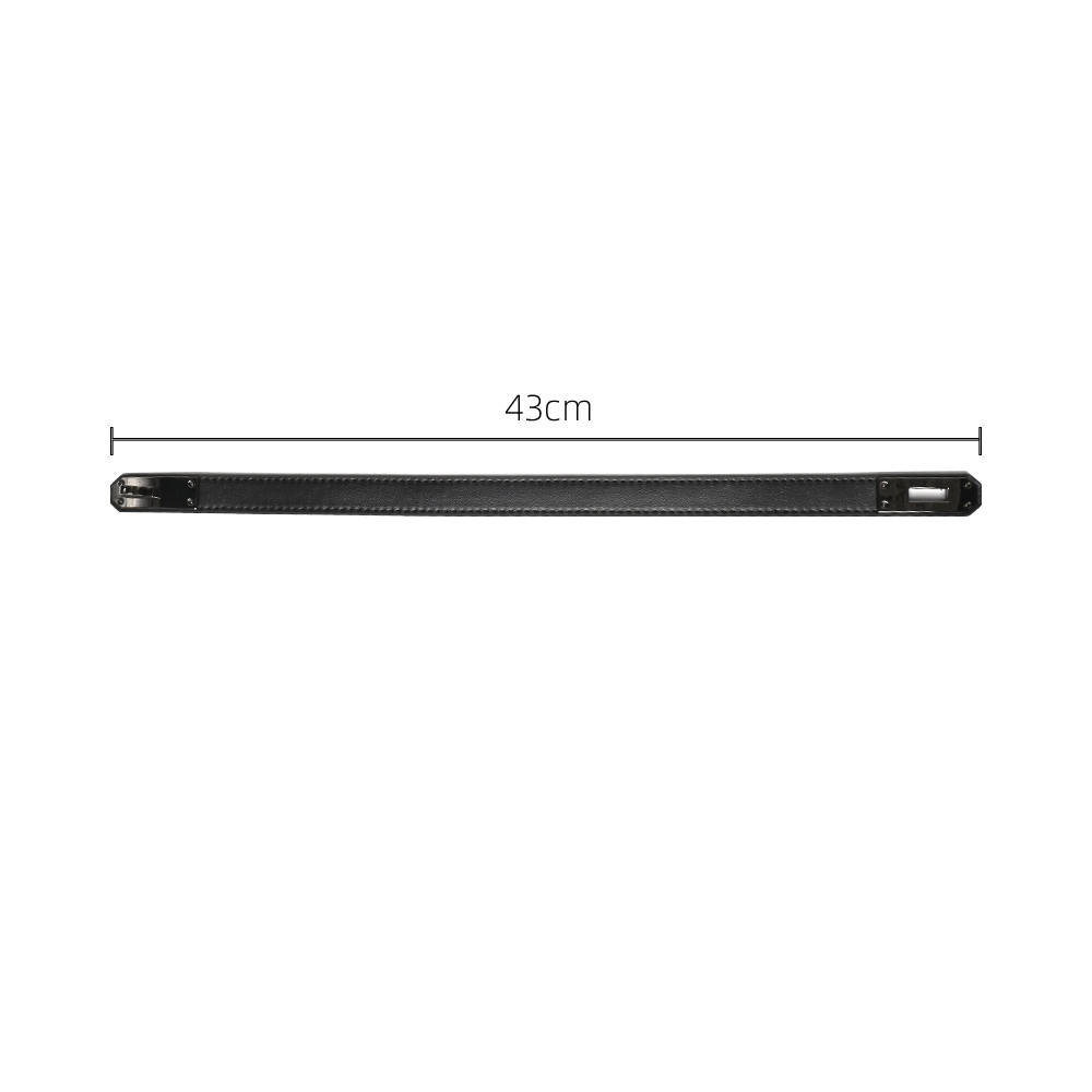 WILDCHOK Black Leather Choker | Metal Turn Lock
