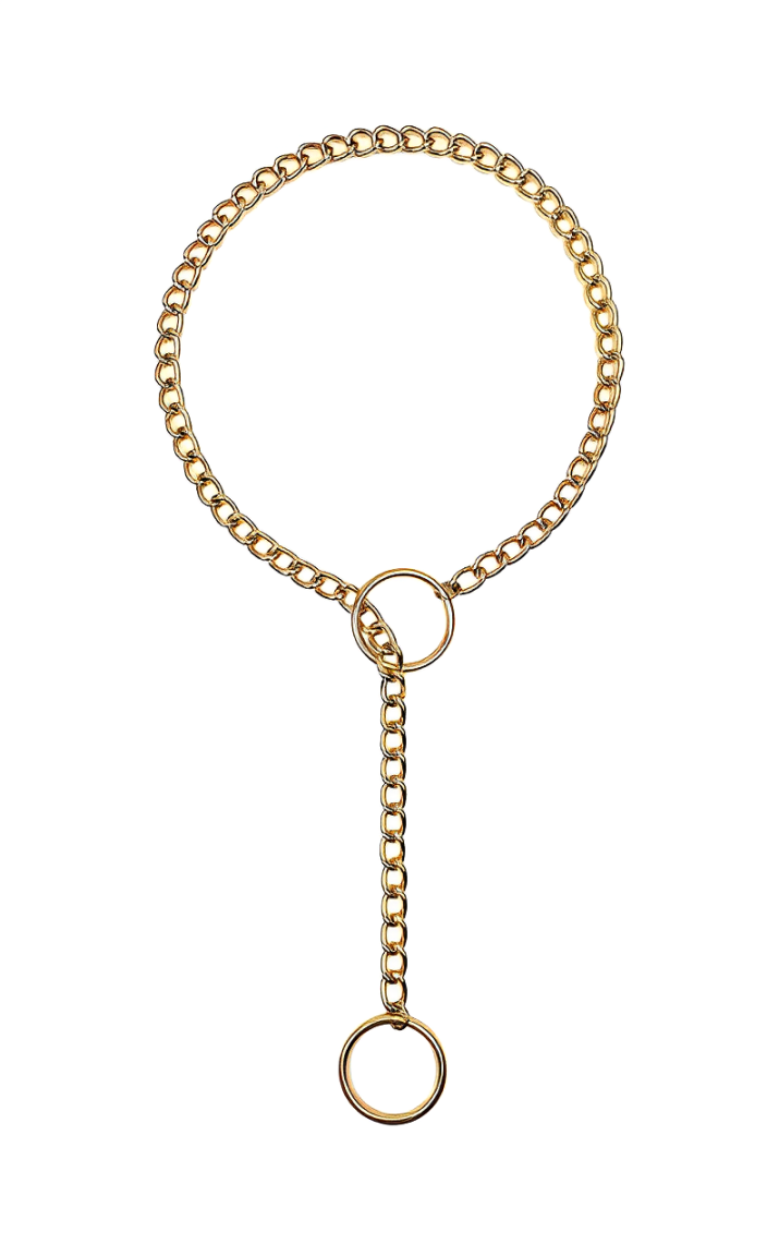 WILDCHOK - O - Ring Slip Chain