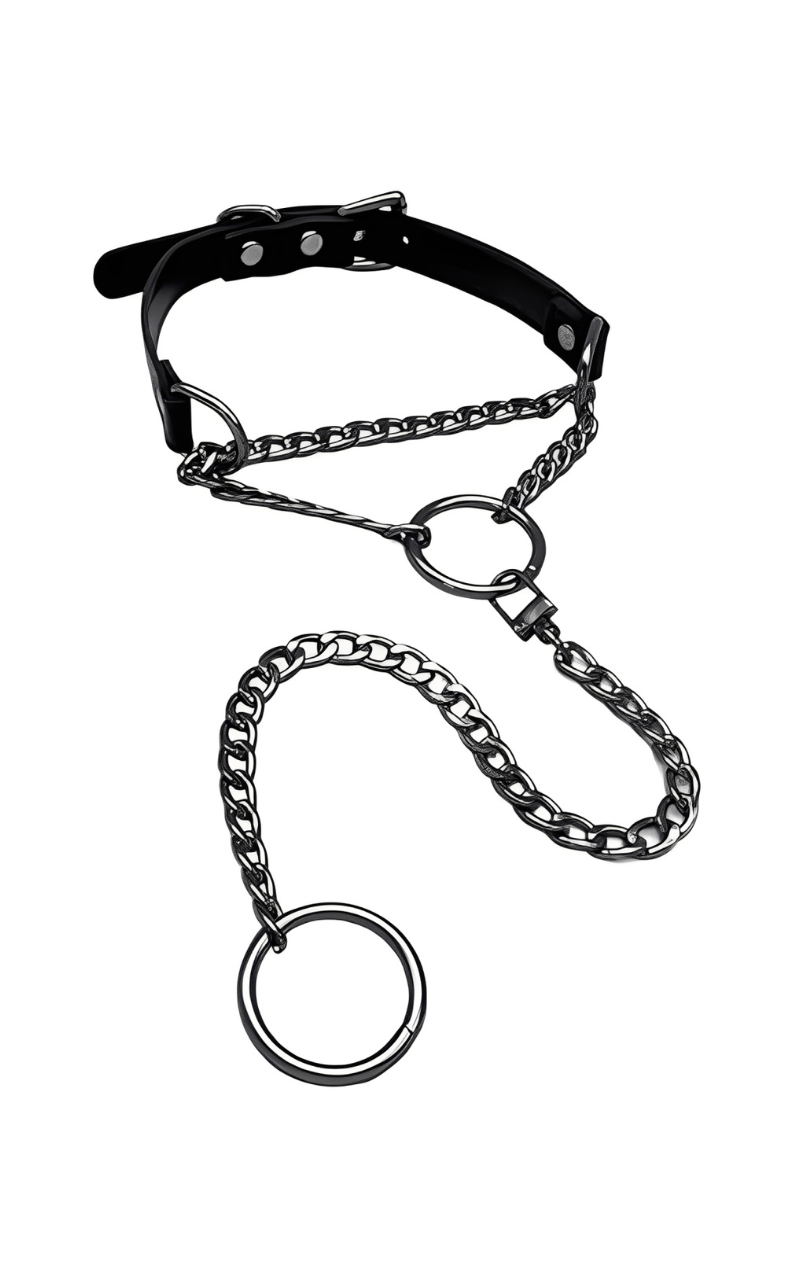 WILDCHOK - O - Ring Swivel Clasp Leather Choker Collar