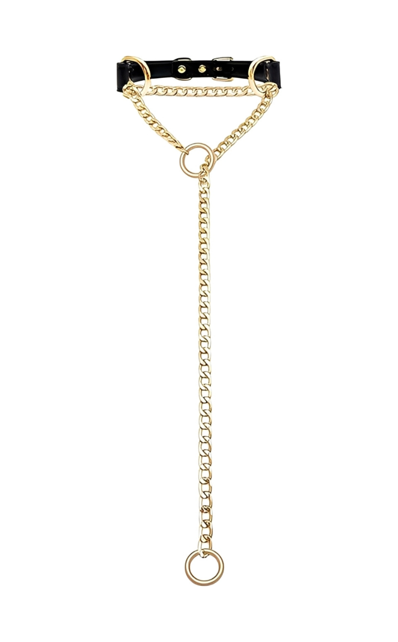 WILDCHOK - O - Ring Slip Chain Leather Choker Collar