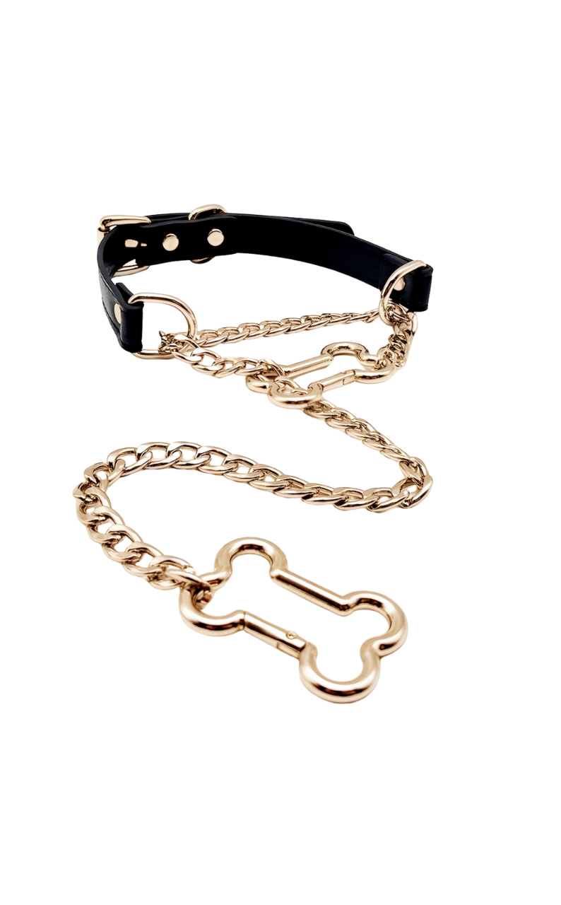 WILDCHOK - Bone Slip Chain Leather Choker Collar