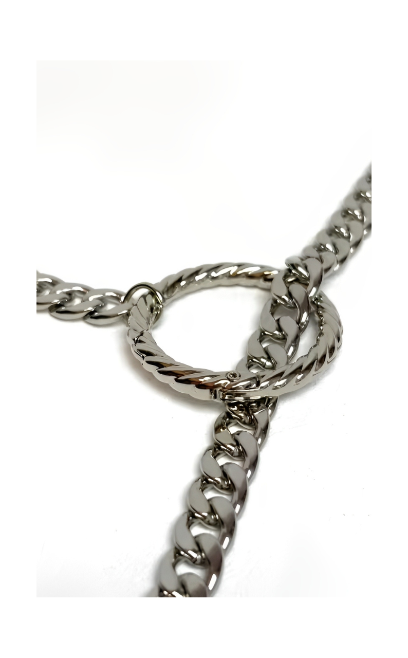 WILDCHOK - Crystal Lock & Key Slip Chain