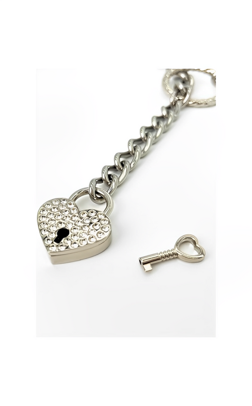 WILDCHOK - Crystal Lock & Key Slip Chain